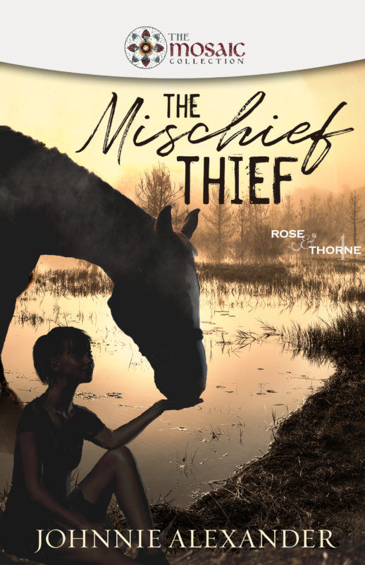 The Mischief Thief